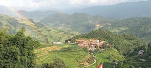 Top view la pán tẩn