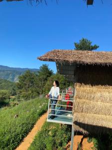 Top view la pán tẩn