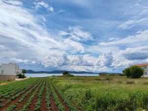 Seaside Serenity "Sand" with pool, 150m from sea