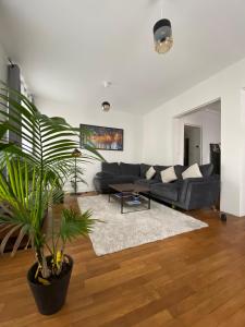 Spacieux & Lumineux - centre Amiens avec Parking