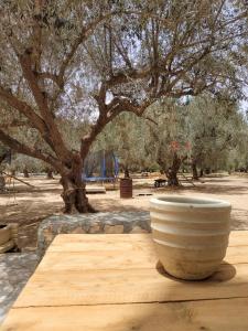 ZINA RESORT camping touristique