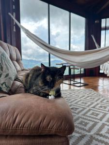 La mejor vista del eje cafetero en el Chalet La Gitana