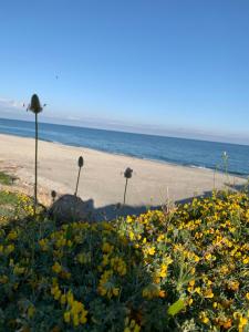 Appartamento Fronte Mare Rosa 2