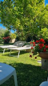 La Collina del Riccio