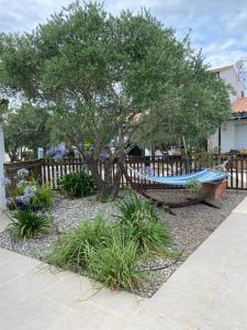 Villas Les Oliviers : photos des chambres