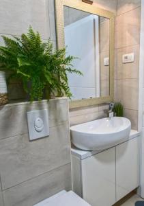 Urbana Villa Four Season Summer