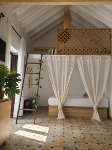 Amapola Livingtarifa