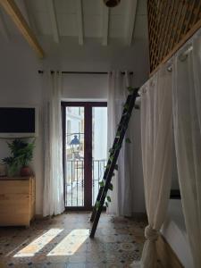 Amapola Livingtarifa