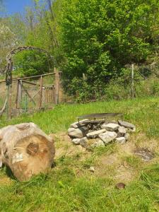 Casa Patty - Liariis of Ovaro CARNIA