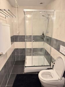 Bucharest Airport & Therme Apartments