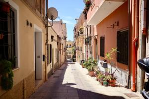 Maestrale di Sardegna img13