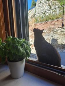 La casa nel castello