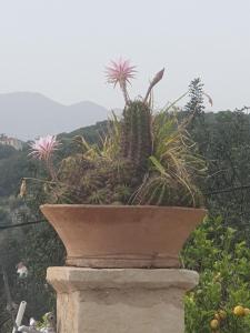 Villa Eudokia Terrace Views Pool