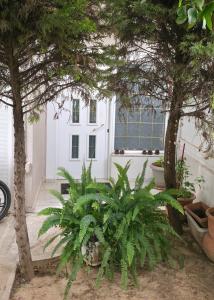 Dimitris gerakas apartment