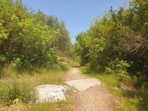 Villa Eudokia Terrace Views Pool