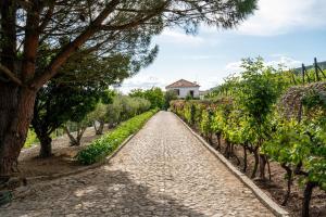 Casa do Vale - Retreat in the Douro Vineyards