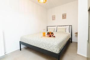 Lithodia - Λιθωδία