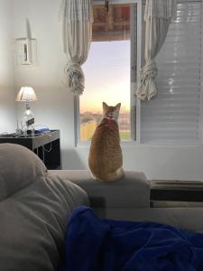 Recanto das Pedras - Casa Pedra Ferrugem Com vista para o mar