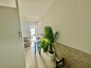 Azores Pedra Apartaments A