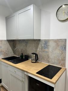 Apartament typu Studio nad Jeziorem Drwęckim