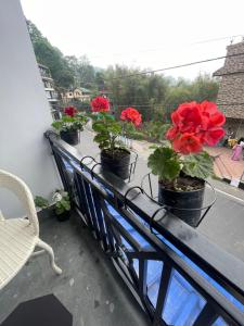 The Blue Burrows Homestay