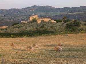 Agriturismo Baglio Pollicarini