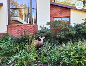 Villa G20 - Selborne Golf Estate