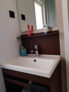 Maisons de vacances Les Lodges de l-Aubertiere : photos des chambres