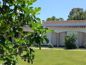 Villa Cuoredimare exclusive use img7