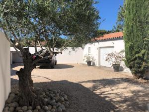 Villas Les Oliviers : photos des chambres