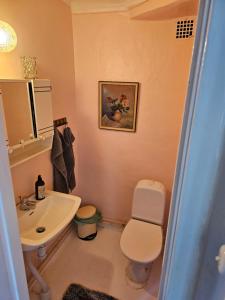 Charmig villa med 5 sovrum i Åmmeberg