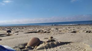 Villa con giardino sul lungomare