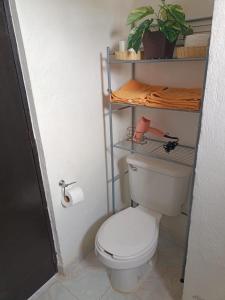 Apartamento céntrico en Colima