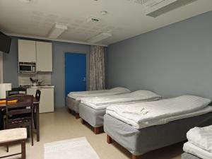 Jääskän Loma Hostelli Antin tupa, Tetrisnurkka