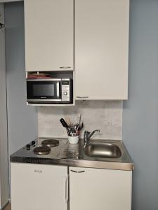 Jääskän Loma Hostelli Antin tupa, Tetrisnurkka