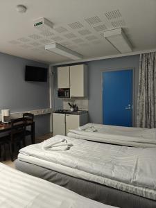 Jääskän Loma Hostelli Antin tupa, Tetrisnurkka