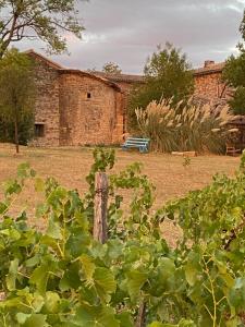 Les vins de Rouyré - Maison, 4 pers, grand jardin, bain nordique