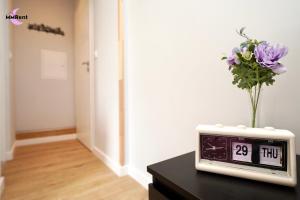 MMRent Dream Studio