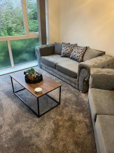 Modern flat-apartment in Marton