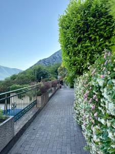 Green Village Spacious Apartment