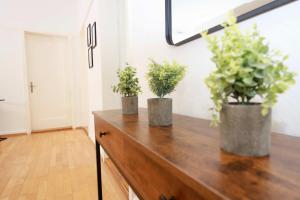 Zurich City Gem Steps to Tram Family & group