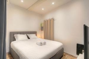 Beautiful bright apartment - Near Fourvière