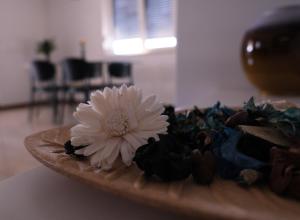 Seaside Serenity "Sea" with pool, 150m from sea