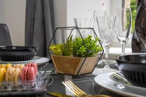 Jackson Terrace B - Grampian Lettings