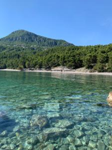 Mariyka Apartaments 2