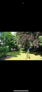 Villa Solingen möblierte Apartments for work & stay