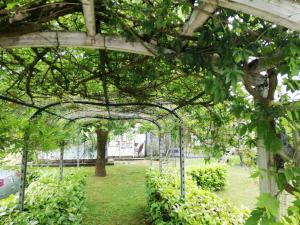 Maison familiale au calme avec piscine en bordure de forêt