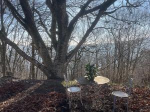 Chalets Le refuge d-Yzeron, gite autonome en pleine foret pour 8 personnes : photos des chambres