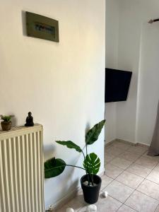 Apartment with roof garden