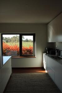 Lusus Wine House - Refúgio vínico com piscina no Dão